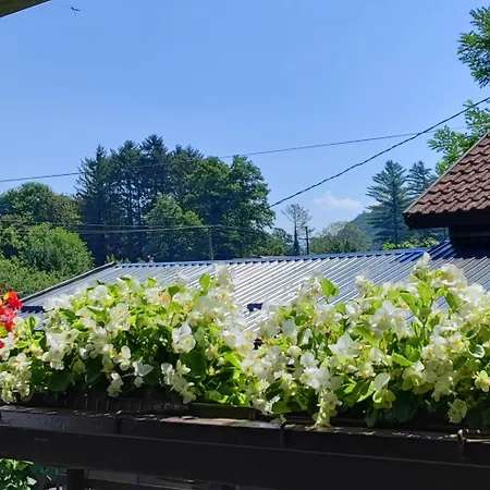 Sumski Miro Semesterbostad Perucac