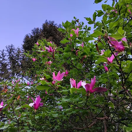 Semesterbostad Sumski Miro Perucac