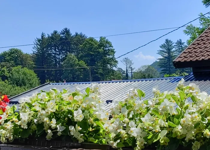 Sumski Miro Semesterbostad Perucac