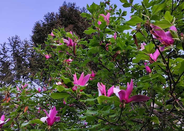 Semesterbostad Sumski Miro Perucac